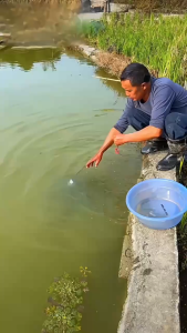 Folding Fishing Net Shrimp Cage Automatic Nylon Crab Fish Trap Net (Jala Jaring Ikan Moden)