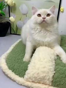 HOOPET | Giường Mèo Bán Kín Chống Lạnh Dày