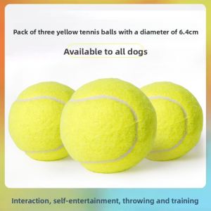 VOA | Durable Chewing & Entertainment Dog Toy Ball