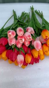 Hoa tulip. dùng cắm bó tặng sinh nhật .tặng bạn bè