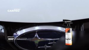 CARPRO Bugout (500ml) - Insect Removal