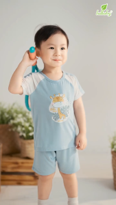 LULLABY - NH637C - BỘ BT CỘC TAY