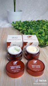 SR12 Cream Pencerah: Solusi Untuk Semua Jenis Kulit