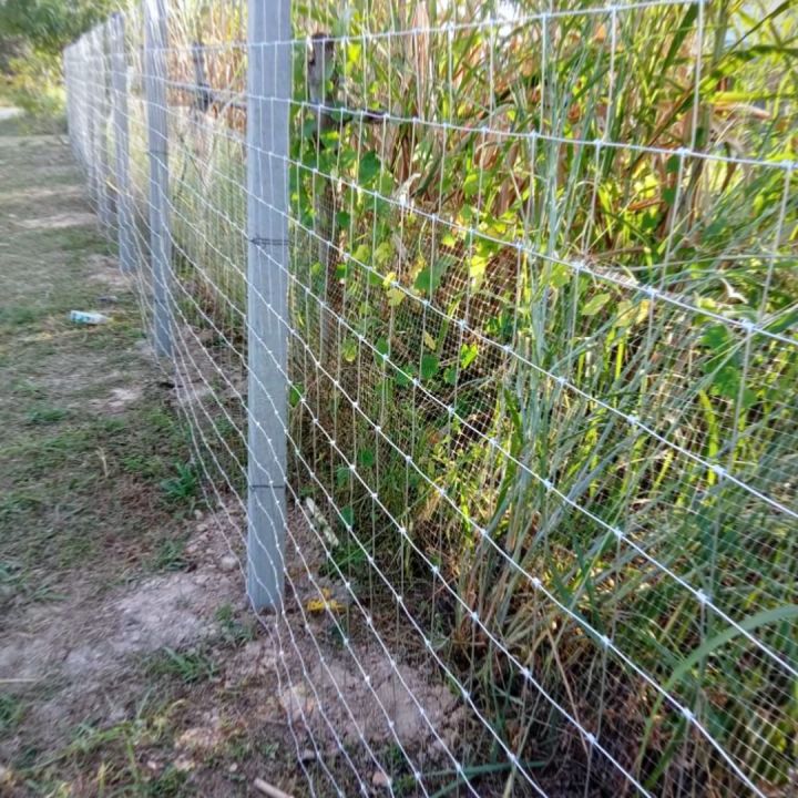 Hog Wire Electro Galvanized goat wire fence roll Cow Fence Pangbakod sa