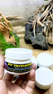 BERRITZ Pelet Ikan Cupang Formula Protein Tinggi untuk Warna Cerah & Pertumbuhan Optimal-PrismaBite
