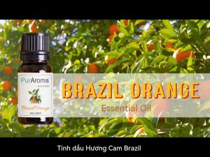(Đậm Đặc | Chai Lớn) Tinh dầu HOA CAM BRAZIL nguyên chất PurAroma by IMMORTEL - Chính hãng Pháp
