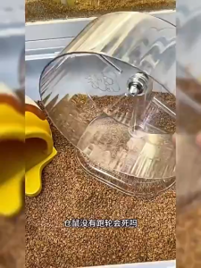 COD Quiet Exercise Wheel for Hamsters
