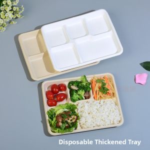 Compartmentalized Eco-Friendly Disposable Paper Plate