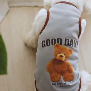 เสื้อแมว เสื้อสุนัข เสื้อยืด ชุดแมว เสื้อน่ารัก ผ้าฝ้าย ลายการ์ตูนหมีน่ารัก สําหรับสัตว์เลี้ยง สูง กว้าง ขนาดเล็ก ขนาดกลาง #A085