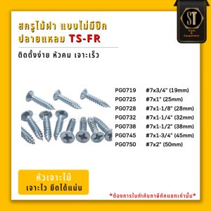 สกรูไม้ฝา ไม่มีปีก ปลายแหลมผ่า TS-FR บรรจุ500ตัว