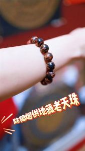 【起玺Qi Xi】消业障供品天珠手串 Dispelling Negative Karma Puja Offering Bracelet