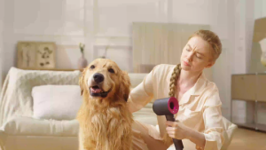 【SG Stock】H1 Pet Hair Dryer 3-in-1 Pet Grooming Brush | Fast 72 Meter/Second Airflow+Low-Noise Design