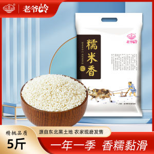 Northeast Rice Fragrance round Grain Vacuum Pack 2024 New Milling Rice for Zongzi Dosa Brewing in Chinese Mainland Jilin
