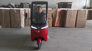 รถไฟฟ้า 3ล้อ มิเตอร์ 800W กู้ค่า ที่มีสามารถรับประกัน เป็นรถไฟฟ้า รถไฟฟ้า ผู้ใหญ่ มีหลังการใช้งาน การรับประกัน มอเตอร์ 800W มอเตอร์ประสิทธิภาพสูง ร่วมกัน การไฟเลี้ยว กุญแจในระยะยาว สำหรับการทำงานความงาม โดดเด่น และสูงสุดในก