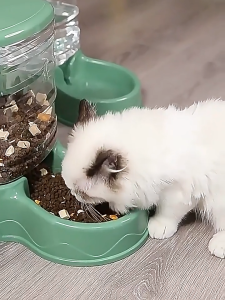 เครื่องให้อาหารอัตโนมัติ ชามให้อาหารสัตว์เลี้ยง 3.8 ลิตร เครื่องให้อาหารแมวอัตโนมัติขายแยกต่างหาก เครื่องให้อาหารสุนัขอัตโนมัติ