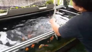 GINGA GA 104 Mesin Pompa Celup Filter Aquarium Aquascape Air Terjun Kolam Ikan Gelembung Udara Oksigen GA104