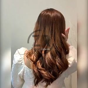 HAIRDINI PITA KUPU KUPU /JEPIT RAMBUT WANITA KOREA HAIR BUN /AKSESORIS RAMBUT WANITA AK22