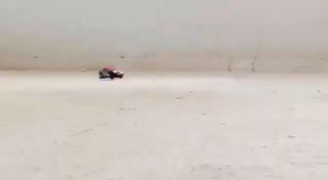 Mainan Mobil Remot RC Mini