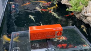 BẾP GA DU LỊCH GẤP GỌN BS-199CA. BẾP CAMING