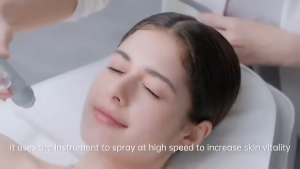 Multifunctional Beauty Equipment with Co2 Jet Peel Skin Scrubber and Water Oxygen Infusion for Deep Cleaning
