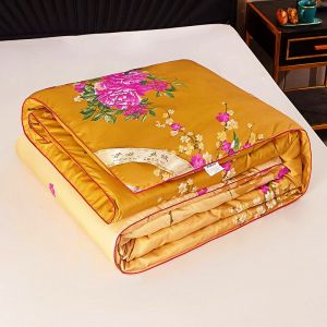 Thickened Silk Comforter Air Conditioning Summer Coolness Ice Silk Thin Double Spring Autumn Single Person Winter Warmth