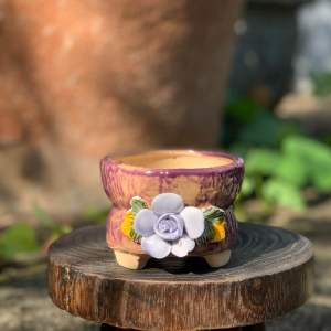 Chậu trồng cây sen đá/xương rồng nhập Trung hoa 4 mùa