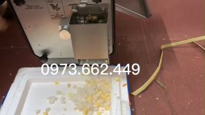 Máy cắt thái hạt lựu công nghiệp 300kg/h