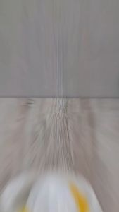 Perasan Jeruk Tangan - Alat pemeras Jeruk - Jusco JS 8719