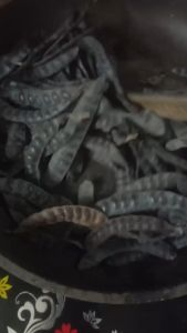 Trái bồ kết khô loại 1 khối lượng 100g 500g và 1kg dùng gội đầu không mọt không mốc dùng mượt tóc chống rụng tóc xông thơm nhà