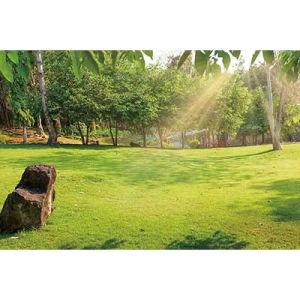 1000PCS Jigsaw Puzzle Peaceful Spring Meadow Landscape With Blue Sky For Adults Perfect Gift For Art And Puzzle Enthusiasts