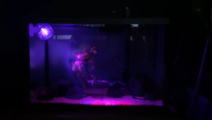 [KAO KUI] USB 1W LED Submersible Mini Spotlight Auto-Colour-Change (Suitable for small Pond or Aquarium)