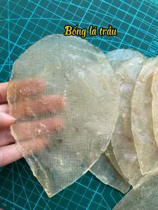 Khô Cá Bóng Lá Trầu Đẹp Mới Từ Cá Bóng Sữa Tươi Sống Nguyên Chất- ĐẶC SẢN MINH TRIẾT