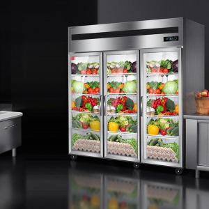 DEMASHI | Commercial Beverage Refrigerator