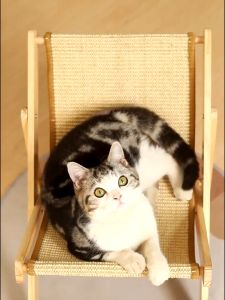 Cat Bed Cat Scratch Chair Cat Scratching Board Canvas Sisal Scratcher Pad Bed Wooden Chair for Cats & Kittens