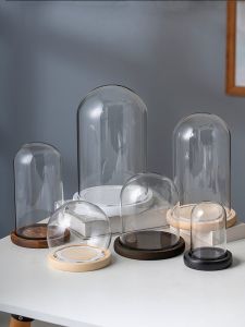 Modern Simplicity EVA Butterfly Specimen Display Box Ball Shaped Glass Cover Figurine Ornament Desktop Decoration Creative Home Decor