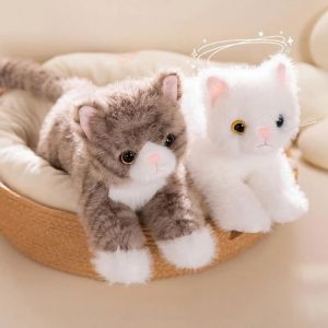 New Cute Simulation Cat Plush Toys Soft Stuffed 5 Colour Kitten Model Fake Cat Realist Animals Kids Girls Valentines Day Gift