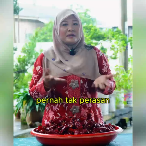 Dried Chili Big Size (Low Spicy) | Cabai Kering Besar Yidu | Mild Dry Red Chili for Cooking | Mild Spicy Dry Chili | Premium Quality 500g