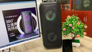 【รับประกัน 10 ปี】ลำโพงบลูทูธ แบบพกพา แถมไมโครโฟน ลำโพงร้องคาราโอเกะ USB TF AUX ลำโพงบลูทูธแบบพกพา เสียงเบสรอบทิศทาง เสียงดังพิเศษ(ลำโพง ลำโพงบลูทูธ แบบ พกพา รุ่น ลำโพงบลูทูธไฟ LED ลำโพงกันน้ำ IPX7 คุณภาพเสียง RGB ความละเอียดสูง พร้อมไมโครโฟน)