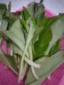 Daun kencur 100 gram. 