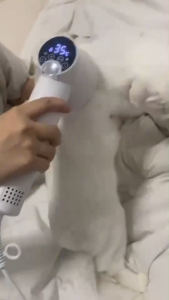 ไดร์เป่าขนและหวีสำหรับสัตว์เลี้ยง หน้าจอสัมผัส LED ปรับอุณหภูมิได้ รองรับความเร็วหลายระดับ เสียงรบกวนต่ำ BUTO