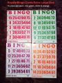 Bingo Royale Card Extra Large Size (Good for Senior user). 