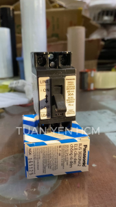 Cầu dao chống rò Panasonic BJS-3020NA2 2P0E 30A dòng rò 15mA - Hàng chính hãng