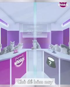 Bộ thức ăn cho mèo con whiskas dạng sốt vị cá ngừ 80g dạng sốt vị cá thu 80g (24 gói)