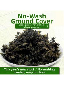 No-Wash Wild Vegetable Dried Goods