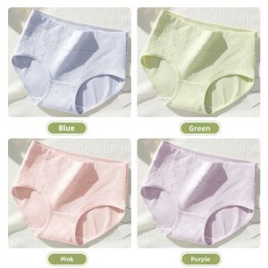 Baisina | Antibacterial Cotton Invisible Large Size High Waist Tummy Control Underwear