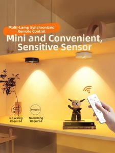 PAIMIJI | Remote Control Rechargeable Motion Sensor LED Spot Light