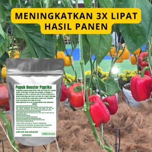 Pupuk Booster Paprika Pelebat Organik Cepat Berbuah Lebat Besar Anti Rontok Pembesar Paprika