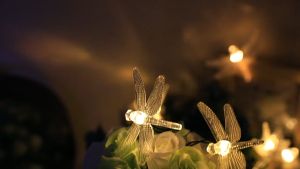 Đèn trang trí năng lượng mặt trời Chuồn chuồn tích kiệm điện bóng siêu sáng chống thấm nước - DA3090
