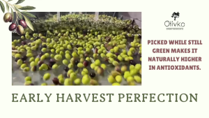 Olivko Tunisian Organic Extra Virgin Olive Oil Cold Extracted 500ML Minyak Zaitun Extra Dara Organik