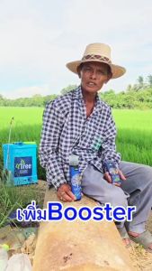 4Tree Booster บูสเตอร์ การเสริมสร้างความเรียบเนียนและสุขภาพ เป็นมิตรต่อสิ่งแวดล้อม ส่งเสริมการเจริญเติบโตของราก ลำต้น ใบ และความคล้ำ 100% บริสุทธิ์จากธรรมชาติ